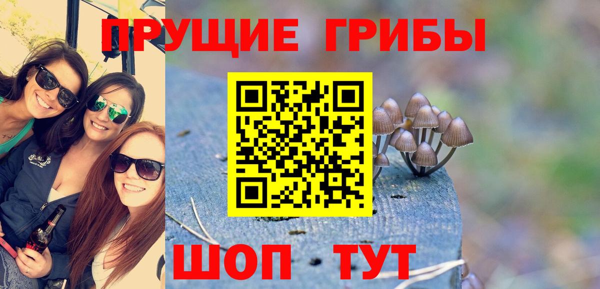 даркнет сайт  Псилоцибиновые грибы Psilocybe  Вход с VPN  Галлюциногенные грибы мицелий  Луховицы 